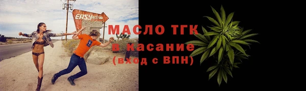 крисы Верхний Тагил